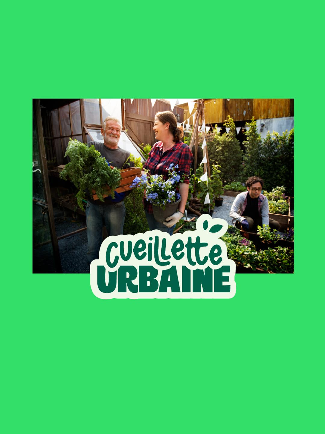 #28-cueilletteurbaine-06