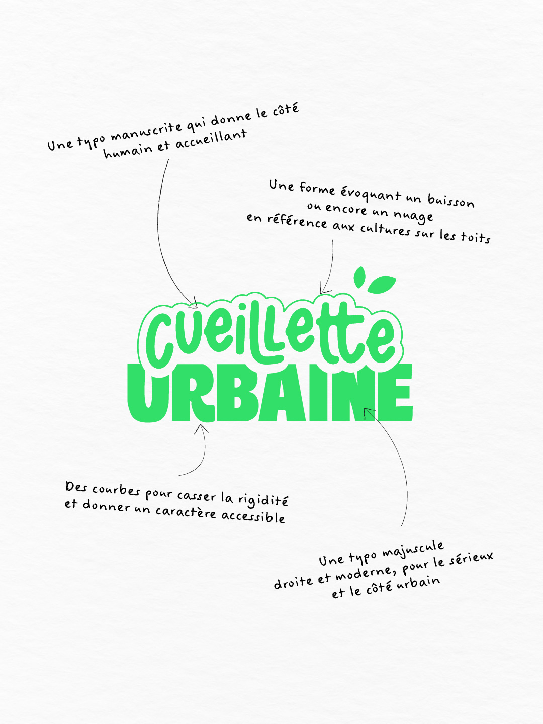 #29-cueilletteurbaine-03