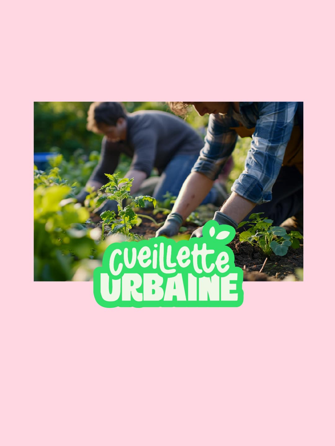 #29-cueilletteurbaine-07